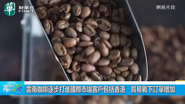 云南咖啡逐步打进国际市场客户包括香港　贸易战下订单增加