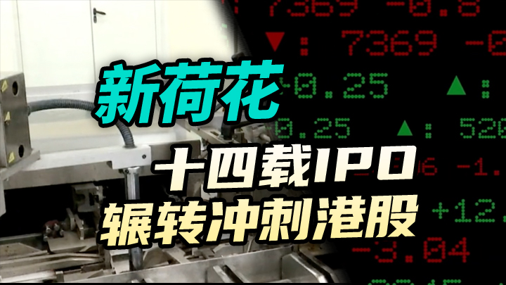 【今日IPO】新荷花十四载 IPO 辗转冲刺港股