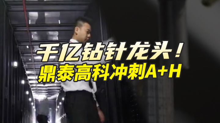 【今日IPO】千亿钻针龙头！鼎泰高科冲刺A+H