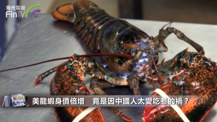 美龍蝦身價倍增　竟是因中國人太愛吃惹的禍？