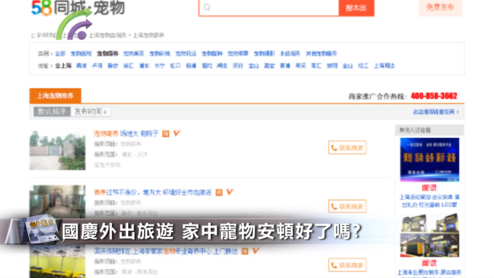 國慶外出旅遊 家中寵物安頓好了嗎?
