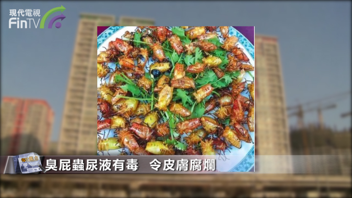 最贵450元一斤! 这种臭屁虫吃货们敢尝吗?