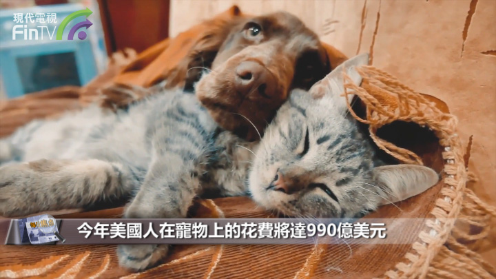 情感寄託讓寵物身價翻番，疫情封鎖助英美商機爆發