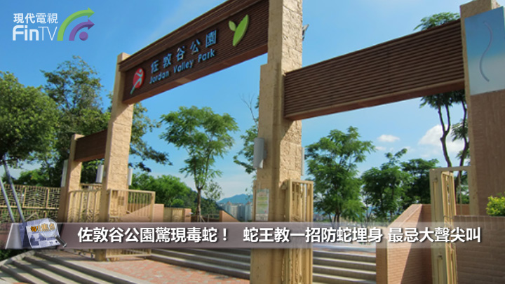 佐敦谷公园惊现毒蛇 !　蛇王教一招防蛇埋身 最忌大声尖叫