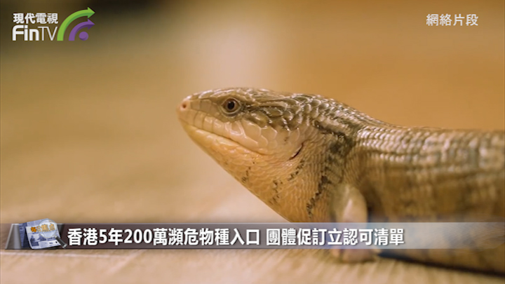 香港5年200万濒危物种入口 团体促订立认可清单