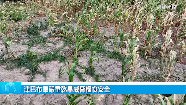津巴布韋嚴重乾旱威脅糧食安全