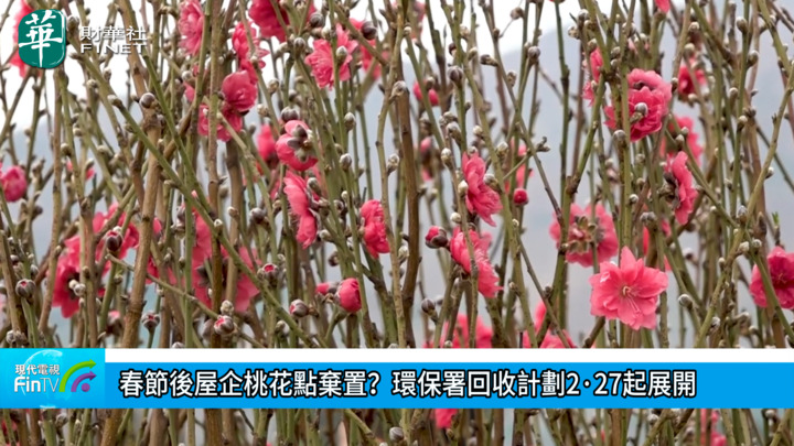 春节後屋企桃花点弃置？环保署回收计划2·27起展开
