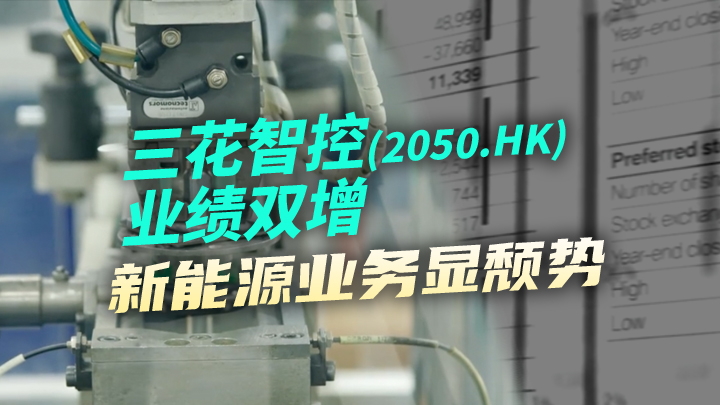 今日IPO 三花智控业绩双增 新能源业务显颓势