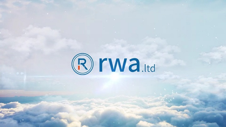RWA.LTD 介绍