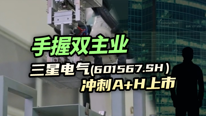 【今日IPO】手握双主业，三星电气冲刺 A+H 上市